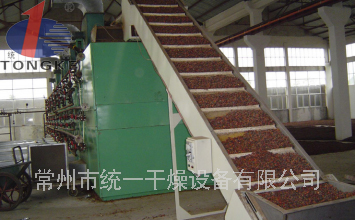 杏子果脯專用干燥機/干燥設備裝置
